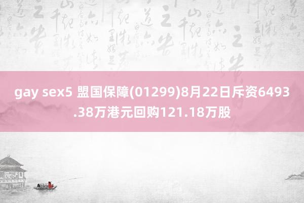 gay sex5 盟国保障(01299)8月22日斥资6493.38万港元回购121.18万股