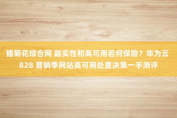 插菊花综合网 踏实性和高可用若何保险？华为云 828 营销季网站高可用处置决策一手测评