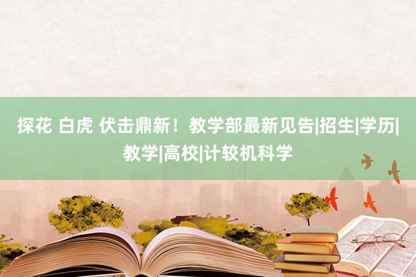 探花 白虎 伏击鼎新！教学部最新见告|招生|学历|教学|高校|计较机科学