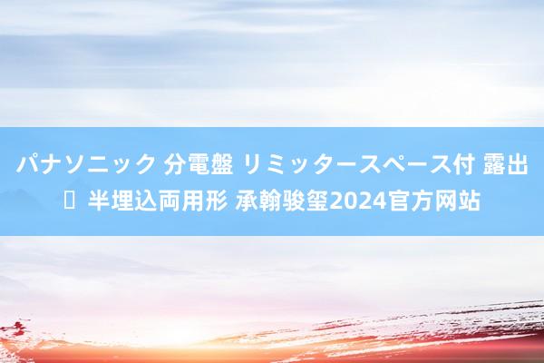 パナソニック 分電盤 リミッタースペース付 露出・半埋込両用形 承翰骏玺2024官方网站