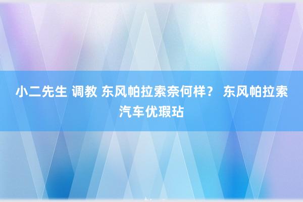 小二先生 调教 东风帕拉索奈何样？ 东风帕拉索汽车优瑕玷