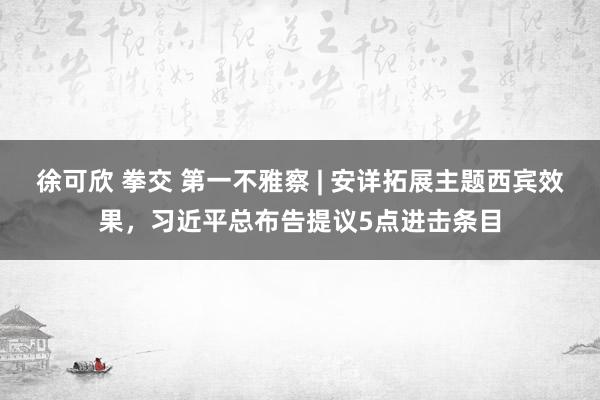 徐可欣 拳交 第一不雅察 | 安详拓展主题西宾效果，习近平总布告提议5点进击条目