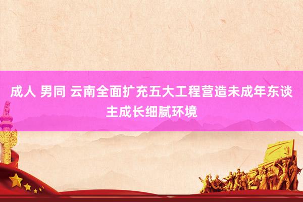 成人 男同 云南全面扩充五大工程营造未成年东谈主成长细腻环境