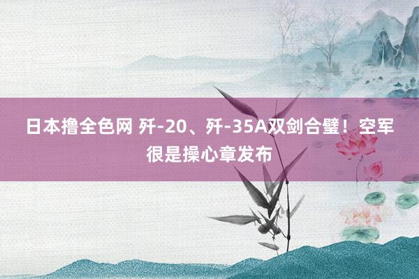 日本撸全色网 歼-20、歼-35A双剑合璧！空军很是操心章发布