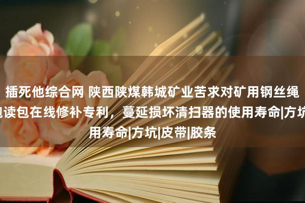 插死他综合网 陕西陕煤韩城矿业苦求对矿用钢丝绳芯胶带的饱读包在线修补专利，蔓延损坏清扫器的使用寿命|方坑|皮带|胶条