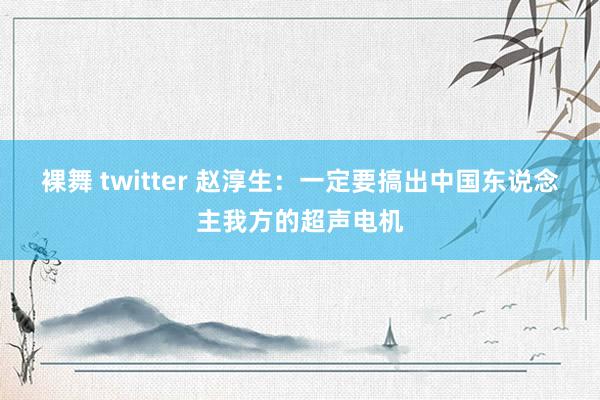 裸舞 twitter 赵淳生：一定要搞出中国东说念主我方的超声电机