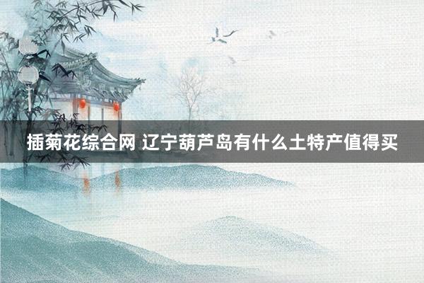 插菊花综合网 辽宁葫芦岛有什么土特产值得买